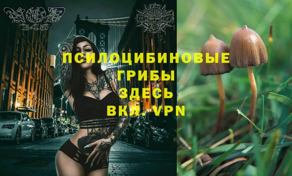 меф Алексин