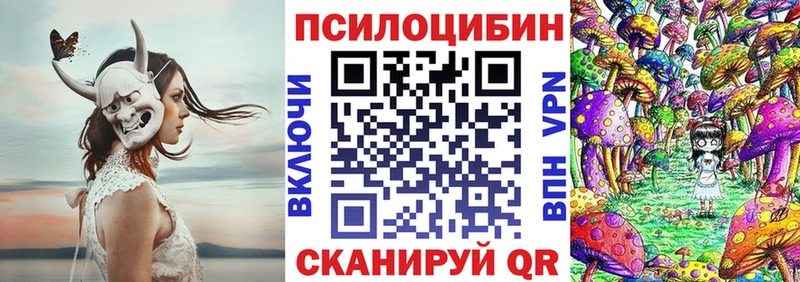 где можно купить   мега зеркало  Псилоцибиновые грибы Magic Shrooms  Мичуринск 