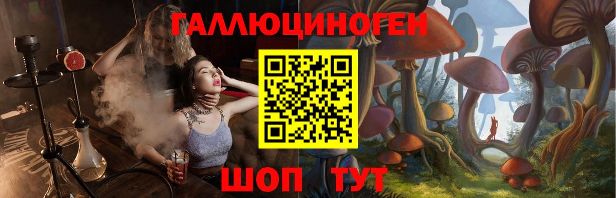Псилоцибиновые грибы мухоморы Мичуринск