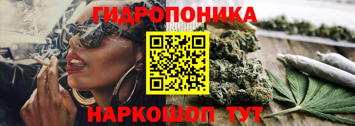 Каннабис OG Kush Мичуринск